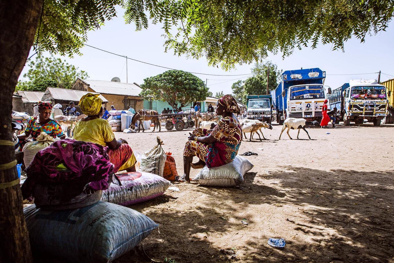 Les Barracudas Sokone المظهر الخارجي الصورة